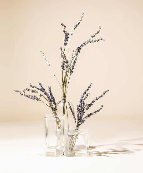 Premium French Lavender Oil