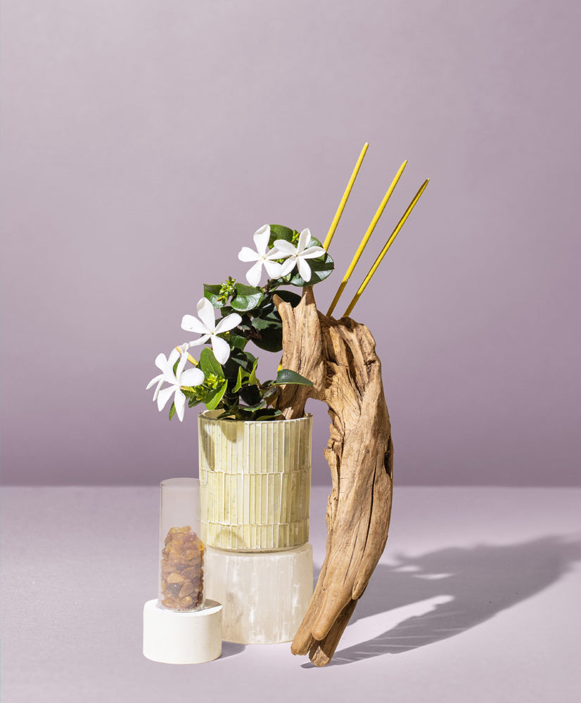 Sandalwood Incense Sticks & Exotic Fragrance Oil Aromatherapy