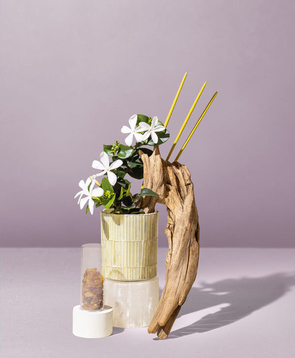 Sandalwood Incense Sticks & Exotic Fragrance Oil Aromatherapy